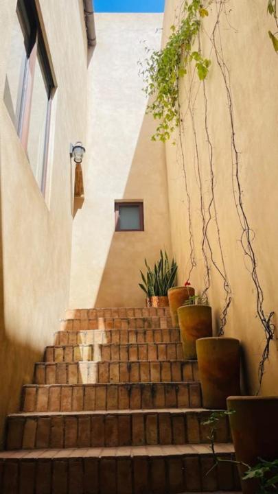 Apartment Departamento Lux En Val'quirico Loft Frontana